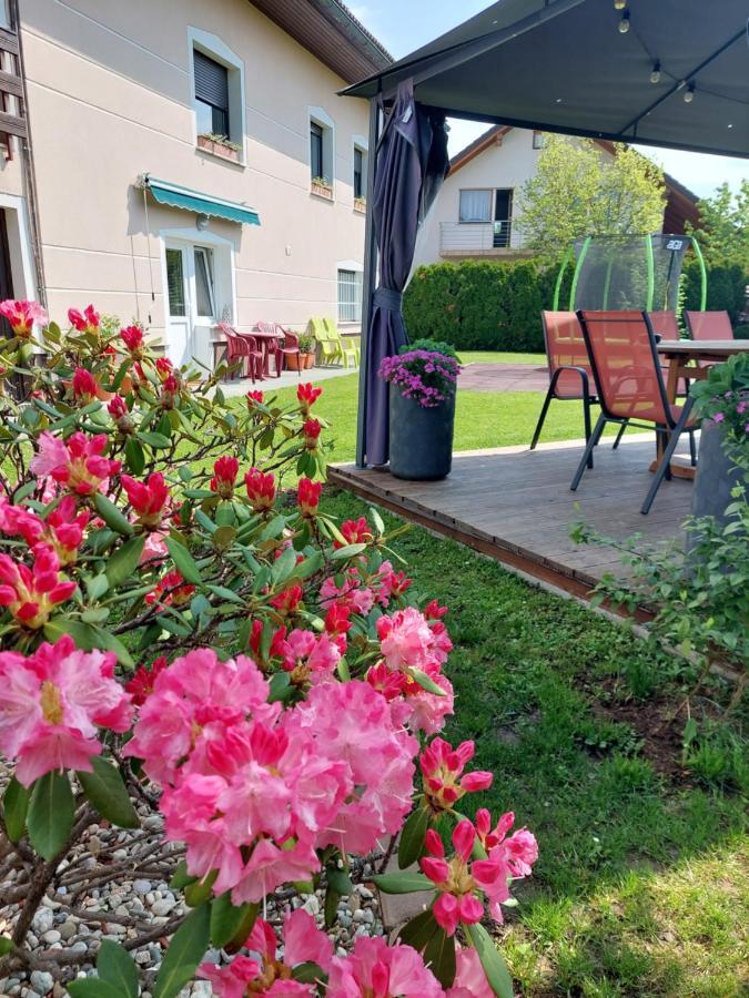 Studio Apartma Zirovnik Церкле на Горенскем Екстериор снимка