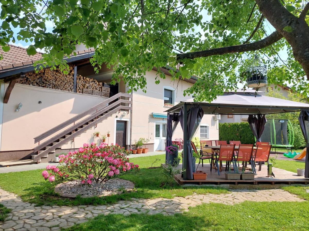 Studio Apartma Zirovnik Церкле на Горенскем Екстериор снимка